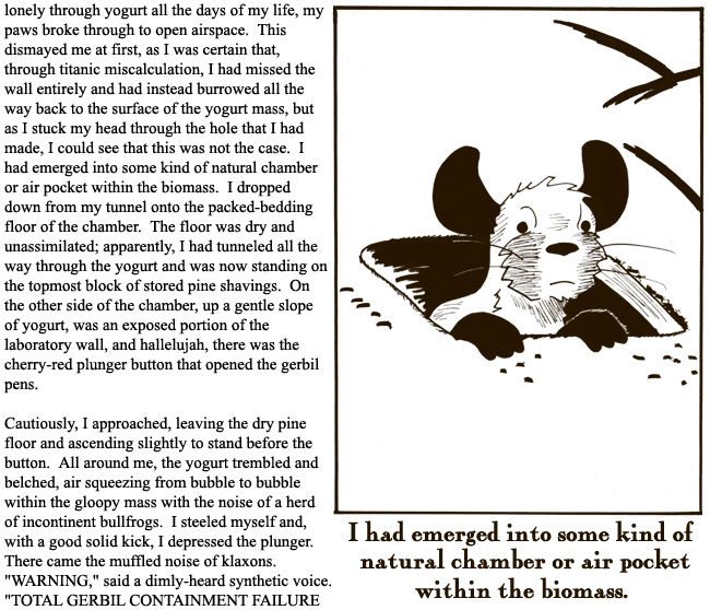 This strip is dedicated to quolls.