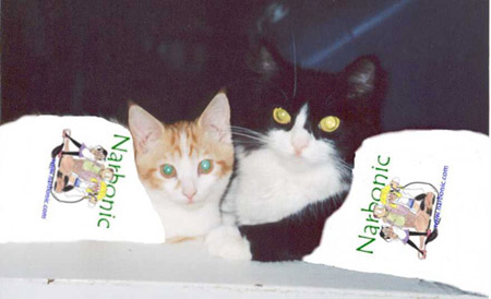 This is a picture of two helpless animals.