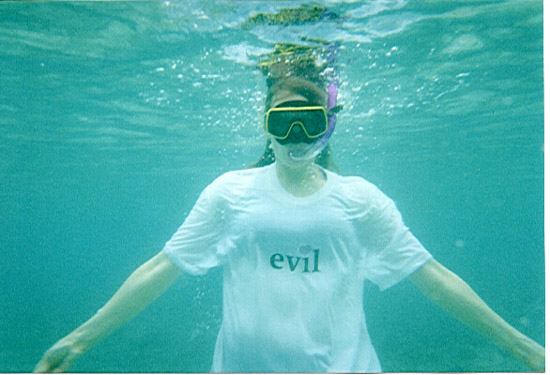 This is Susan Wildey 's photo.